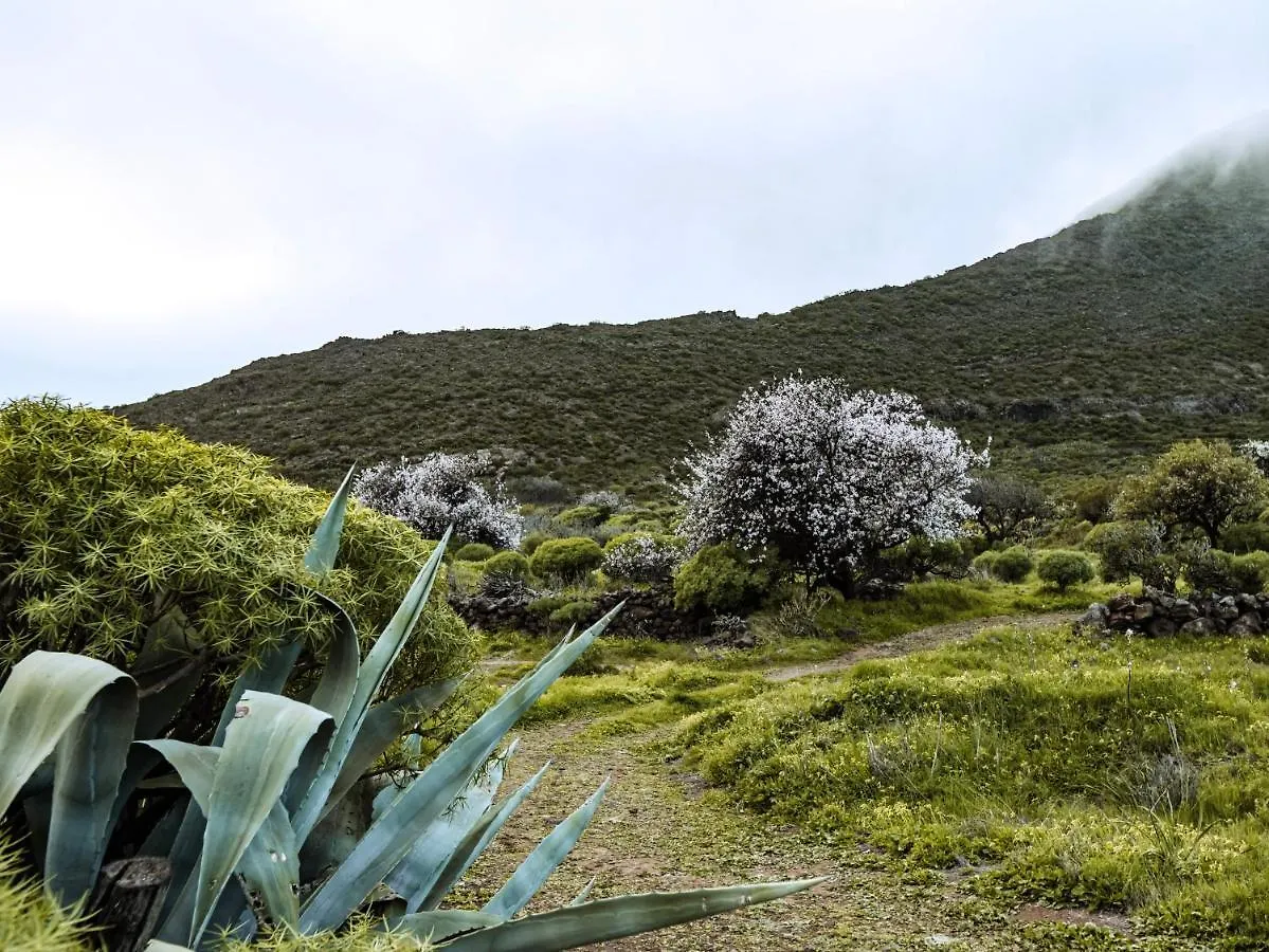 Luxury Villa In Nature With Swimming Pool Tenerife, Santiago Del Teide, With Sea And Mountain Views El Retamar