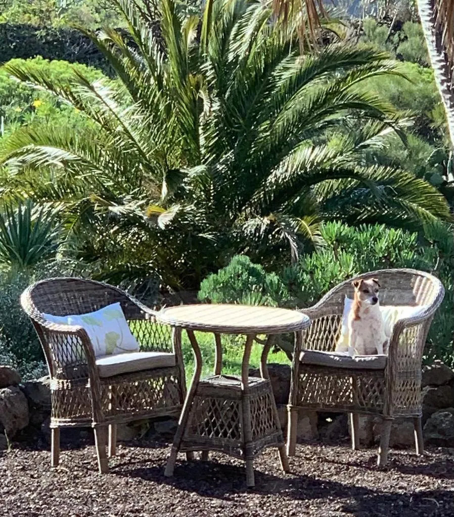 Luxury Villa In Nature With Swimming Pool Tenerife, Santiago Del Teide, With Sea And Mountain Views El Retamar